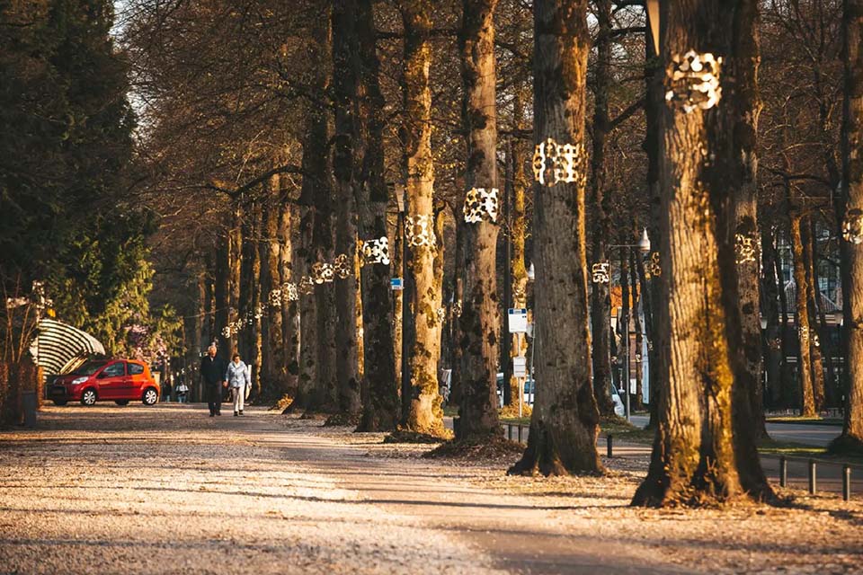 Foto expositie buiten